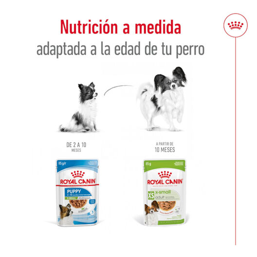 Royal Canin X-Small Adult sobres en salsa para perros, , large image number null